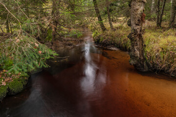 Jezerni creek in autumn color morning with red water and dry grass on meadow
