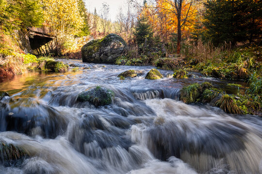 colorful wild water stream on long exposure, river in colorful forest with yellow trees, bohemian forest
