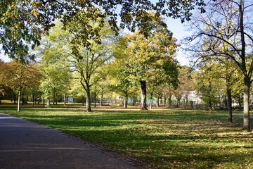 Berlin nature on a sunny autumn day