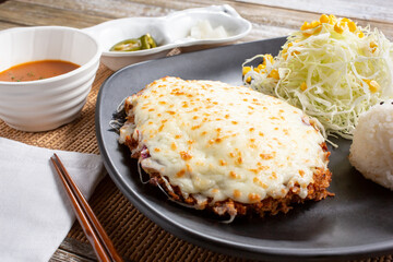 A view of a katsu entree with melted cheese.