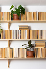 Light wooden bookshelves with hardback overturned books in white interior, indoor flowers on the...