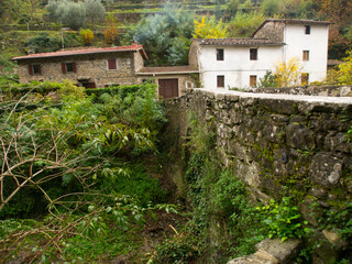 Fototapeta na wymiar Italia, Toscana, Pelago, il borgo di Pagiano e fiume Vicano.