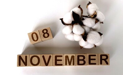 November 8  on wooden cubes.Cotton on a white background.Calendar for November.
