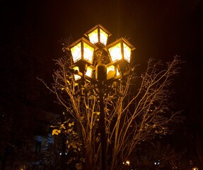 Vintage lamp in the autumn city park