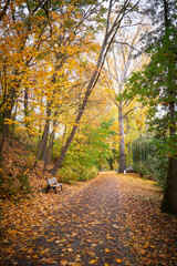 Obraz premium Park in Fürth, Germany during autumn season
