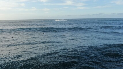 surf and sea source of healthy wealth