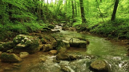 Green forest river landscape. Flying above magic stream.