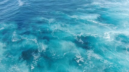 surf and sea source of healthy wealth