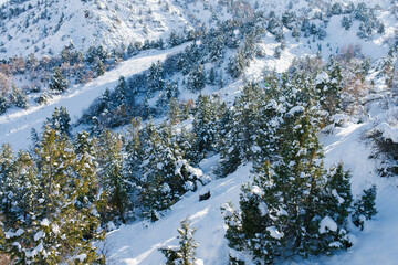 Amazing mountain snow view in the Tien Shan mountains. Beldersay ski resort