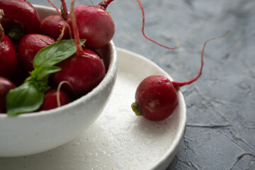 Greens and pink radish on spring table for breakfast