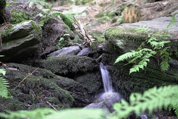 Wasserfahl Wasser Natur Bayrischerwald