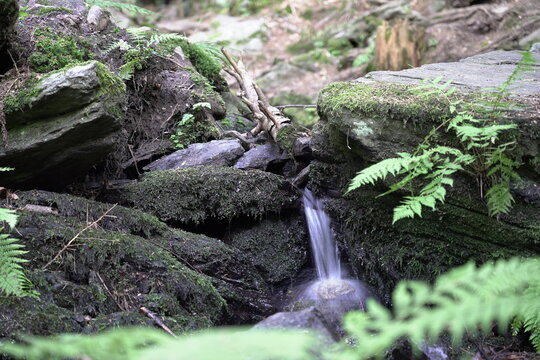 Wasserfahl Wasser Natur Bayrischerwald