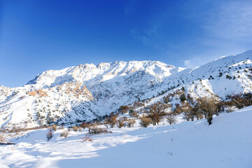Fototapeta na wymiar Winter snow-covered mountain Chimgan in Uzbekistan. Tien Shan mountains
