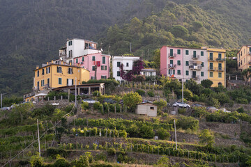 CORNIGLIA, ITALY - Aug 14, 2020: Colorful houses on the mountain