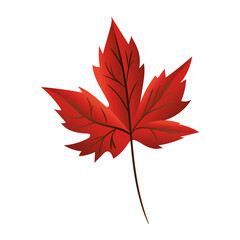 autumn maple leaf icon vector design