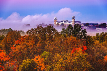 Foggy Foliage