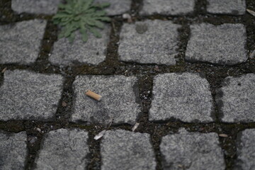 Pflasterstein Kippe müll