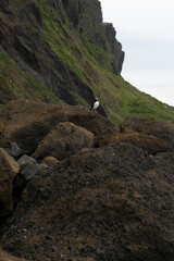 Icelandic nature, Landscape in Summer