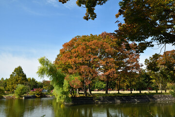 万博記念公園秋の訪れ