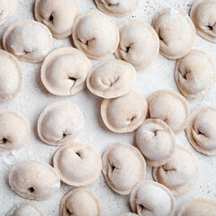 Handmade homemade dumplings