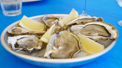 raw oysters with lemon on the plate