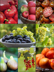 Obst und Gemüse