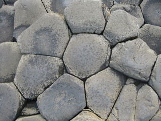 Flower of stone - Fiore di pietra