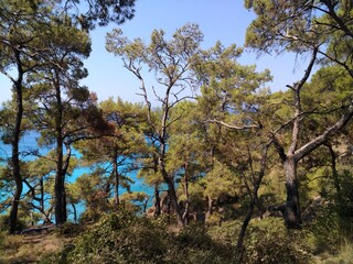 landscape photography travel nature sea 