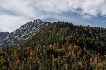 Herbstfärbung
