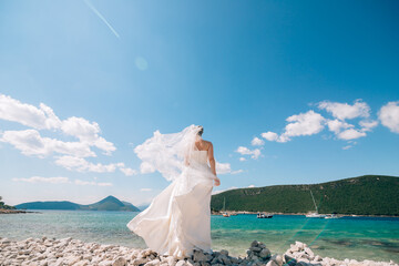 Fototapeta na wymiar the bride stands on the seashore with a fluttering veil