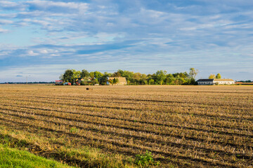 Landscape photo of harvested crop field in autumn with blue sky and clouds at the end of the sunny day