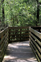 wooden bridge in the woods / boardwalk