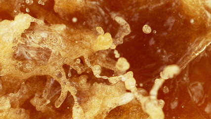 Splashing beer on macro shot