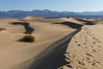 Fototapeta na wymiar Mesquite Flat Sand Dunes 10