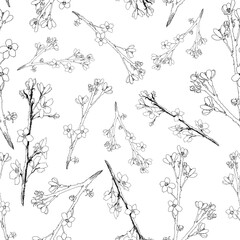 Fototapeta premium Sakura Blossom - Japanese Cherry Tree Seamless Pattern. Drawn Blooming Branch. Vector