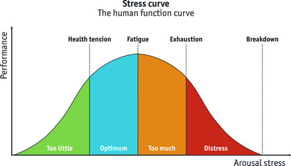 Different stages of the stress curve ranging from underload to burn-out