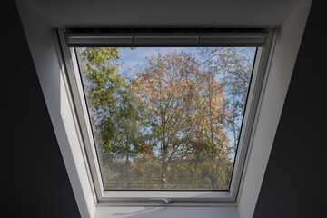 Interior view at closed white Tilt Window Skylights at attic and sunny view through glass with defocused of treetop and autumn leaf.