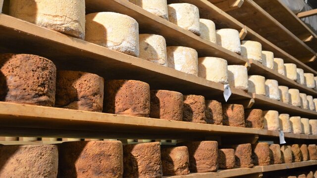 Formaggio Castelmagno Stagionatura