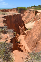 
Beach landscape in Morro Branco, Ceará, Brazil