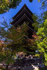 Fototapeta premium To-ji temple in Kyoto in autumn (Japan)