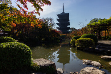 To-ji temple in Kyoto in autumn (Japan)