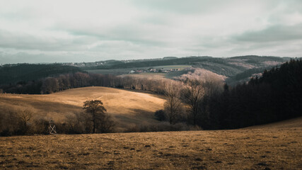 landscape of hills and forest
