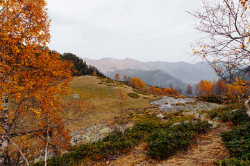 autumn mountain views