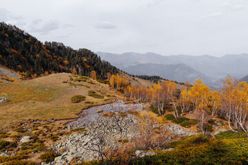 autumn mountain views