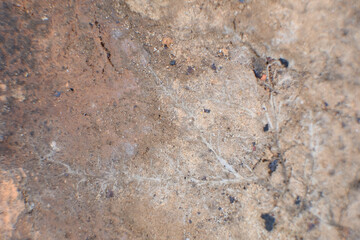 Rough stone wallpaper. fine texture of sand and stones.