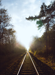 railway in the morning fog