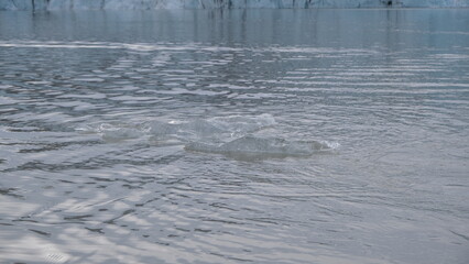 Icelandic iceberg boat tours