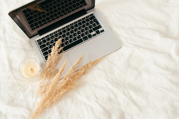 Laptop, beige reeds agains pampas plumen, candle on linen white bed. Minimal, stylish, trend concept. Autumn, fall, composition. Flat lay, top view, copy space.