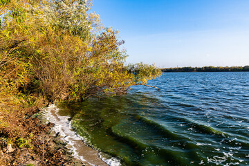 Riverbank, beach on a sunny spring day. Autumn landscape by the river.