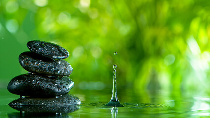 fresh green leaves with water drops over the water , relaxation with water ripple drops concept